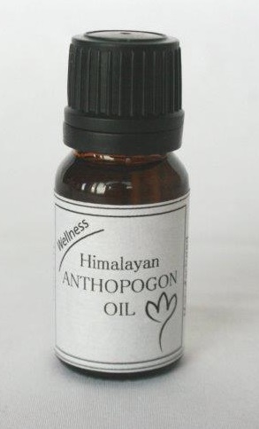 Anthopogon Oil